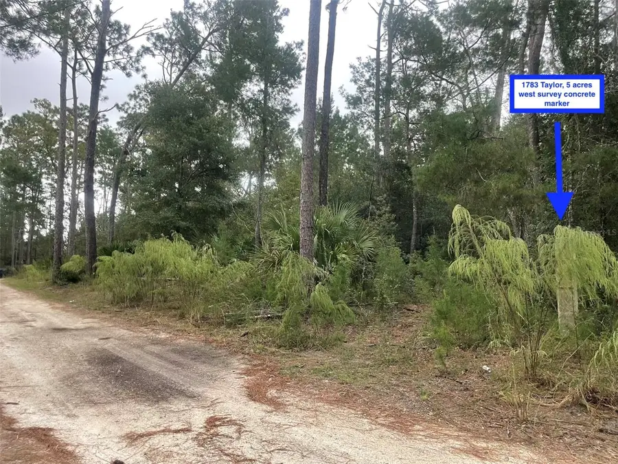 1783 Taylor Road, Port Orange, FL 32128 - #3