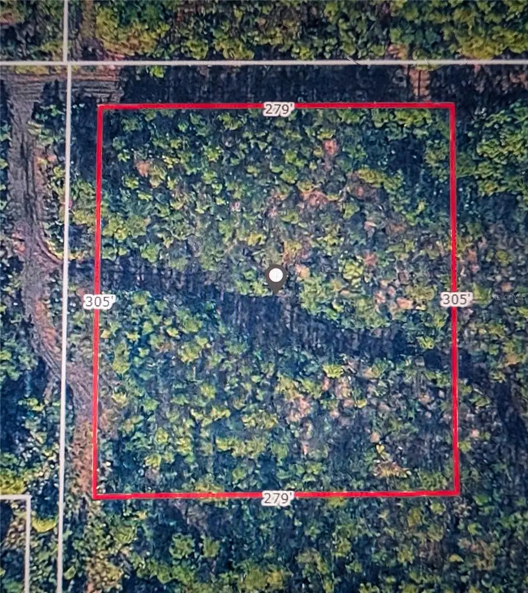 Misty Morgan Lane, New Smyrna Beach, FL 32168 - #1