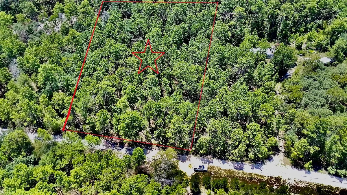 121 Pear Street, Welaka, FL 32193 - #1
