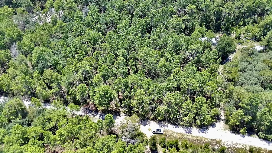 121 Pear Street, Welaka, FL 32193 - #2