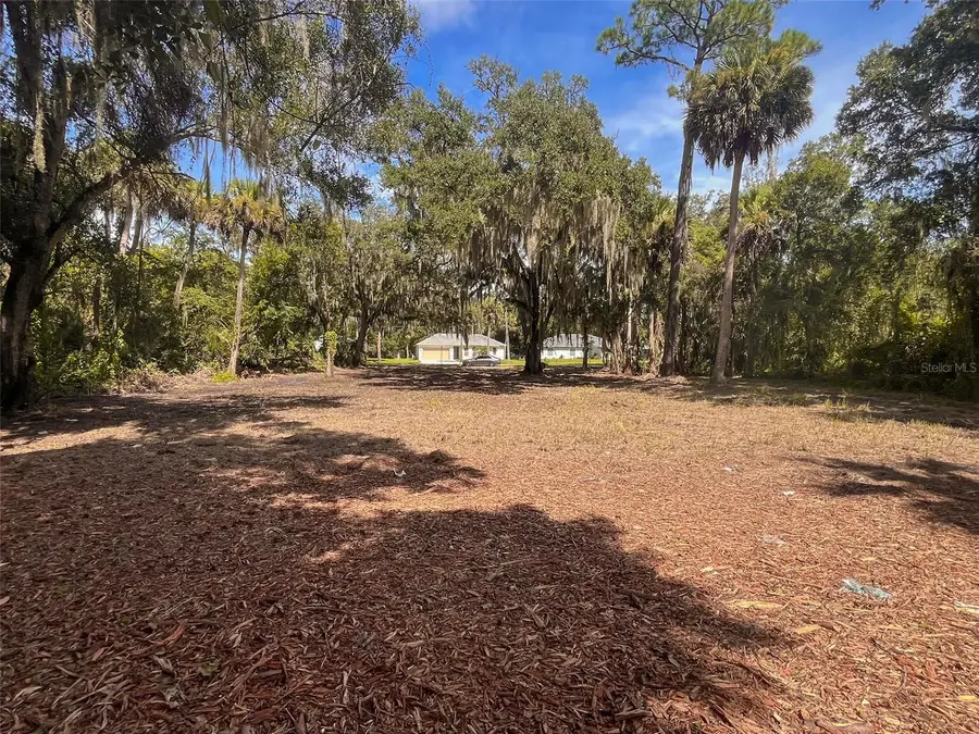 320 Ingham Road, New Smyrna Beach, FL 32168 - #3