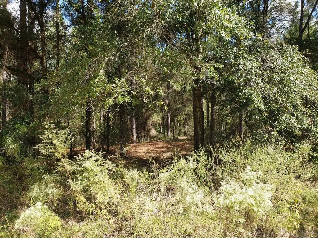 SW 38th Street Road, Ocala, FL 34481 - #1