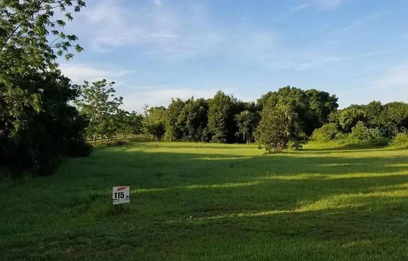 26116 Estates Ridge Drive, Sorrento, FL 32776 - Image #1