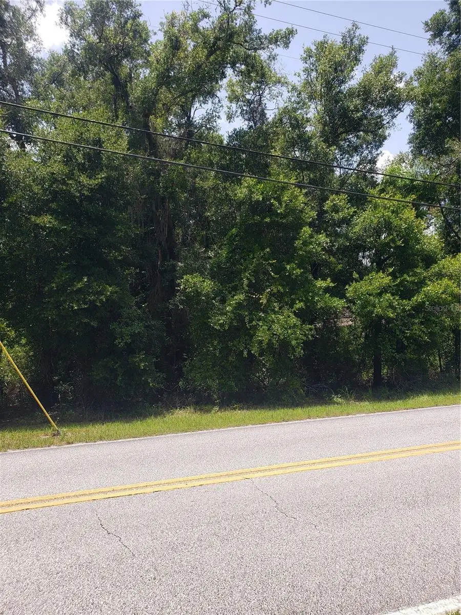 Reynolds Road, De Leon Springs, FL 32130 - Image #2
