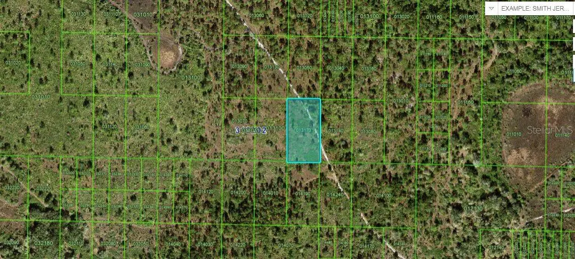 Kicco Road, Frostproof, FL 33843 - #1