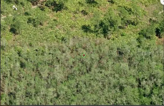 Dill Road, Orlando, FL 32820 - Image #3