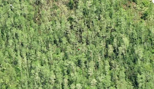 Dill Road, Orlando, FL 32820 - #3