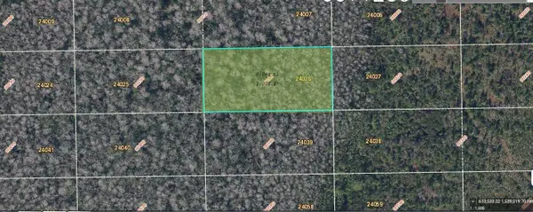 Dill Road, ORLANDO, FL 32820