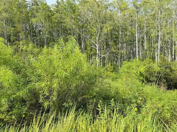 Old Polk City Road, HAINES CITY, FL 33844