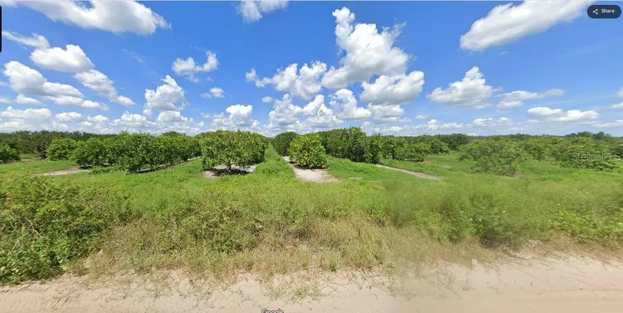 Holopaw Groves Road, Saint Cloud, FL 34773 - Image #3