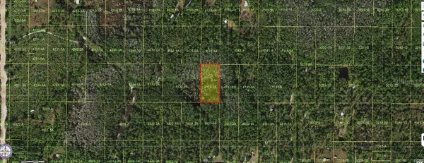 Holopaw Groves Road, ST CLOUD, FL 34773