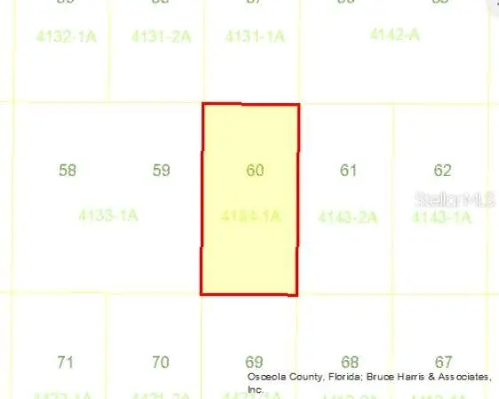 Holopaw Groves Road, Saint Cloud, FL 34773 - Image #3