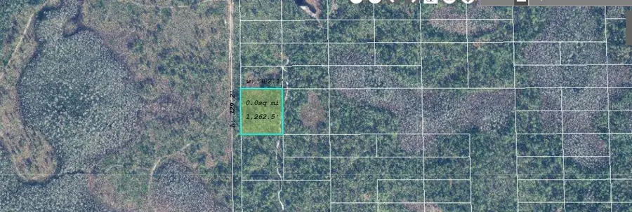 627 Dill Road, Orlando, FL 32820 - Image #3