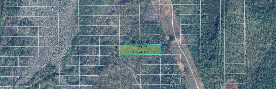 Dill Road, Bithlo, FL 32820 - Image #2
