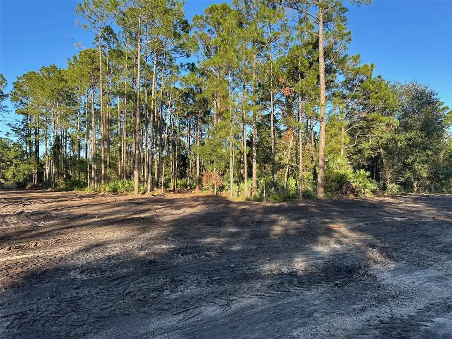 1090 Homestead Cove, Geneva, FL 32732 - Image #3
