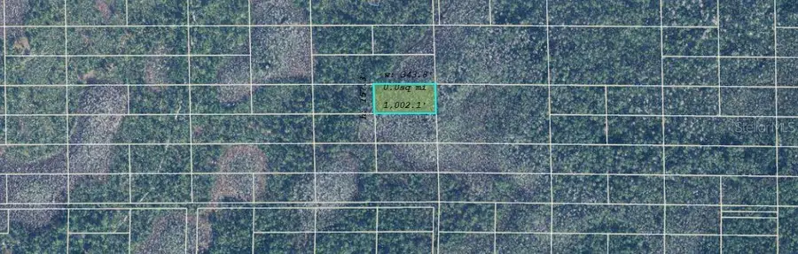 Dill Road, Bithlo, FL 32820 - Image #2