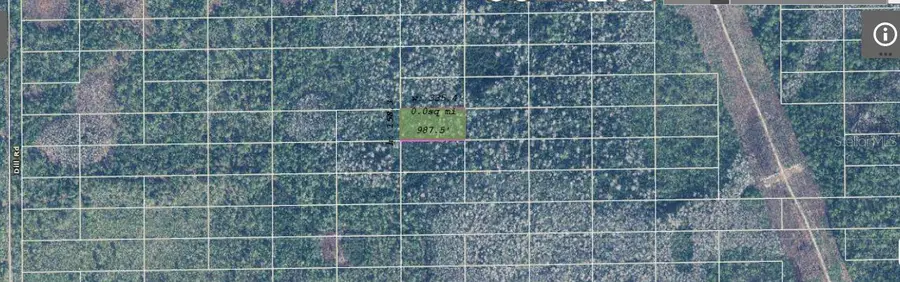Dill Road, Bithlo, FL 32820 - Image #2