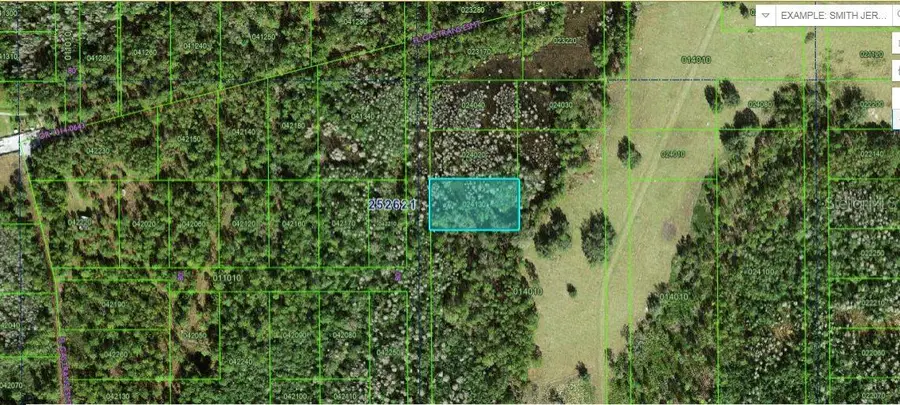 Commonwealth Ave N, Polk City, FL 33868 - #2