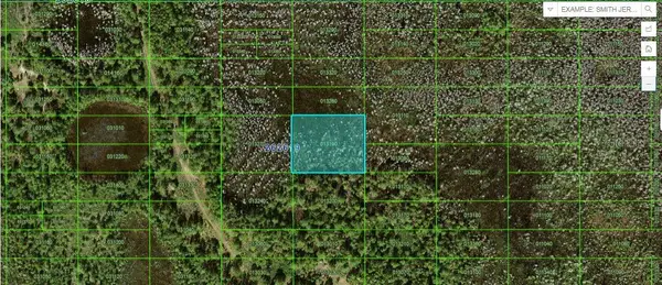 Old Grade Rd, POLK CITY, FL 33868