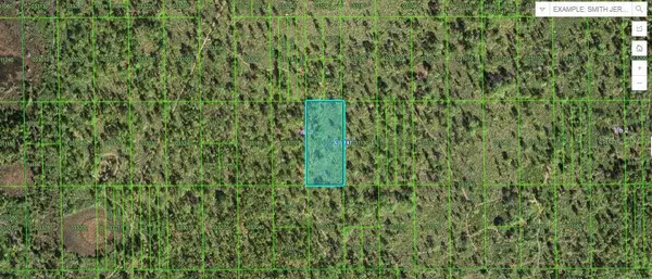 Shady Oaks Dr, LAKE WALES, FL 33898