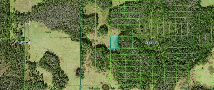 Judy Rd, Polk City, FL 33868 - Image #3