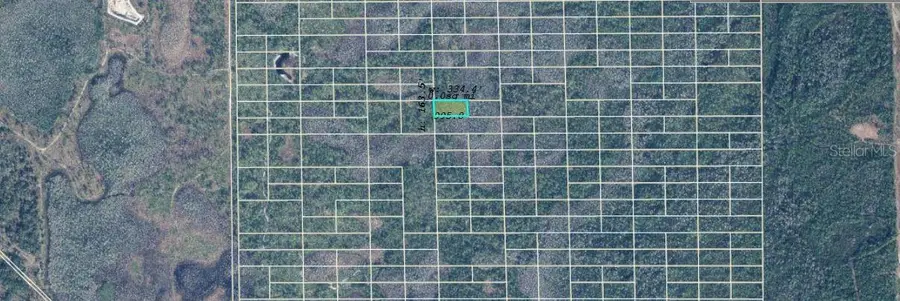 Dill Road, Bithlo, FL 32820 - #3