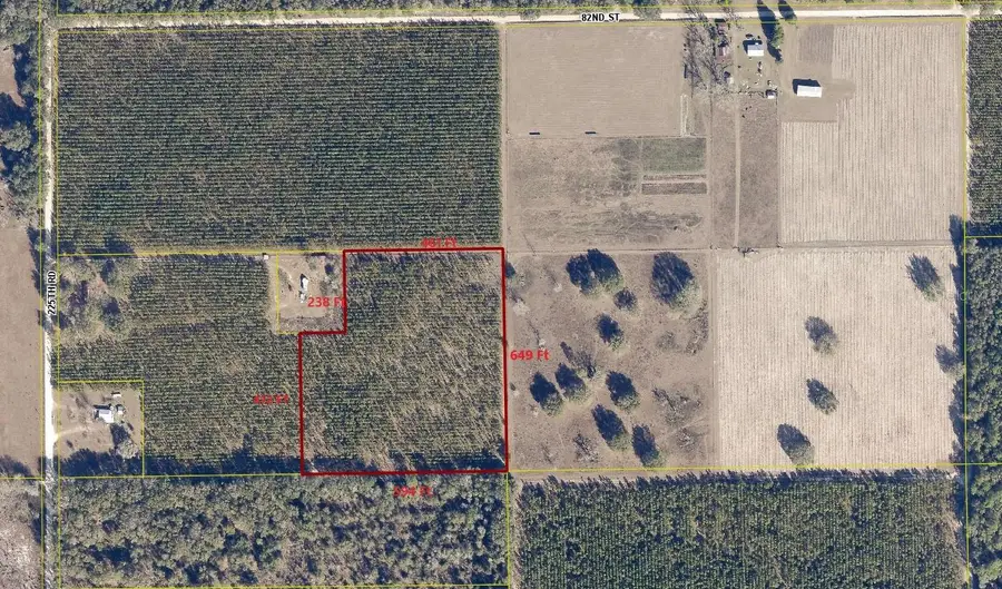8250 225th Road, Live Oak, FL 32060 - Image #2