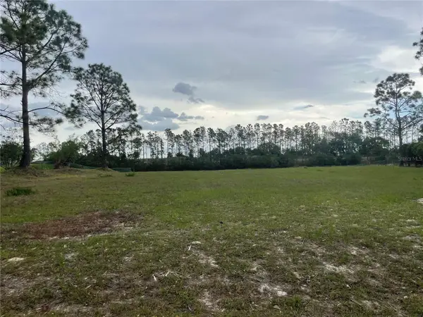 Lake Denise Boulevard, CLERMONT, FL 34711