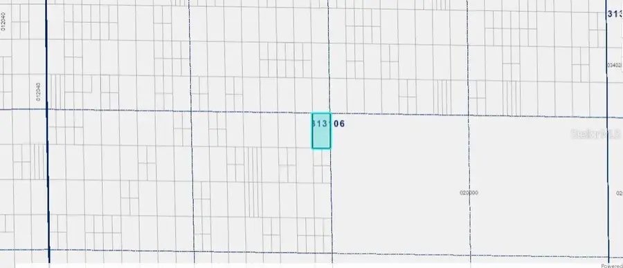 Grape Hammock Rd, Lake Wales, FL 33898 - Image #2