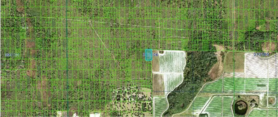 Grape Hammock Rd, Lake Wales, FL 33898 - Image #3