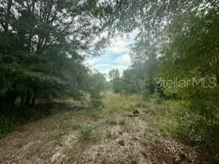 #3