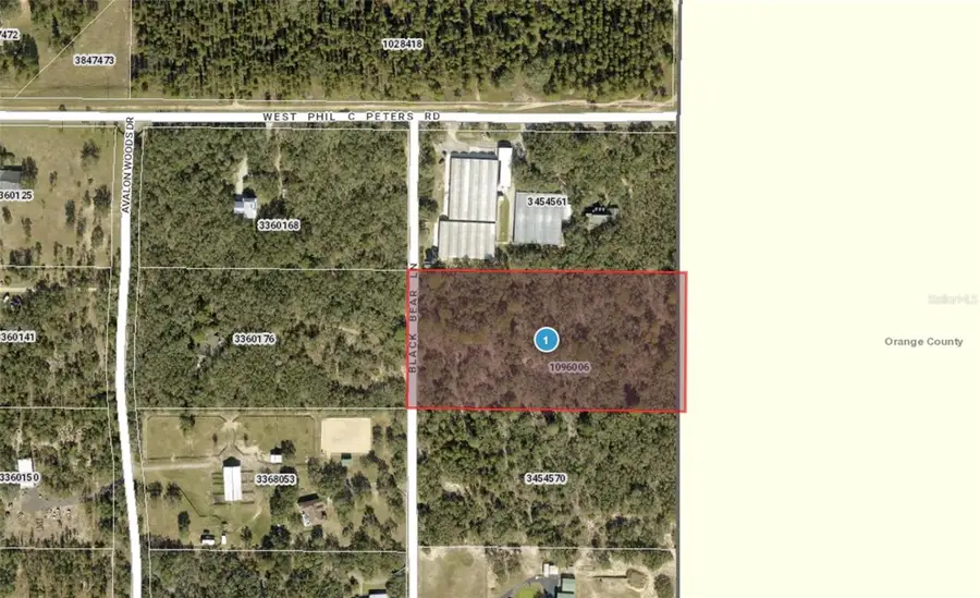 9940 Black Bear Lane, Winter Garden, FL 34787 - Image #2