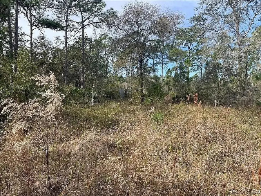 11381 S Rosewater Point, Homosassa, FL 34446 - #2