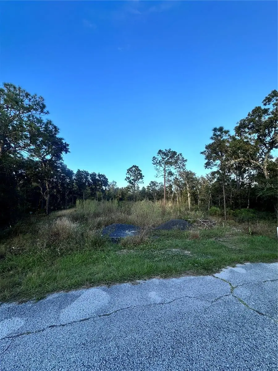 419 Rainbow Court, Poinciana, FL 34759 - Image #3