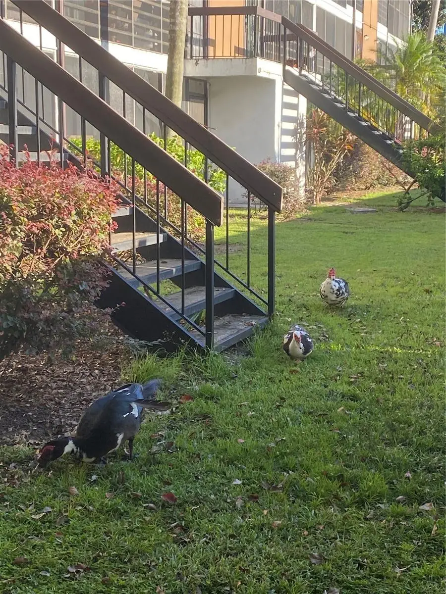 4400 Castlepalm Road, Orlando, FL 32839 - Image #3