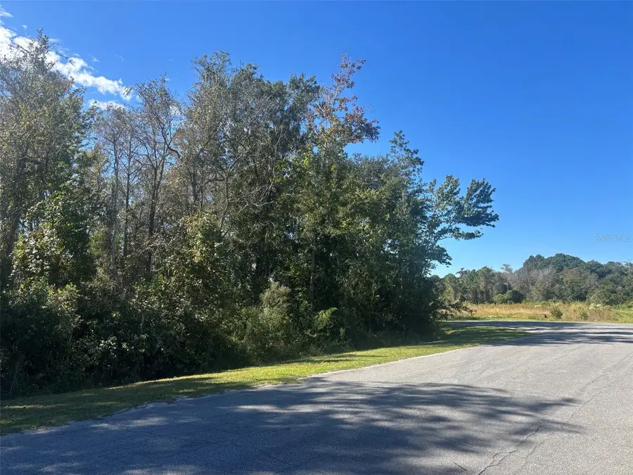 0 Newburg Street, Orlando, FL 32833 - Image #2