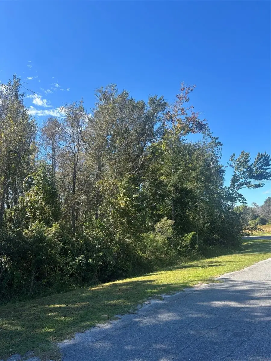 0 Newburg Street, Orlando, FL 32833 - Image #3