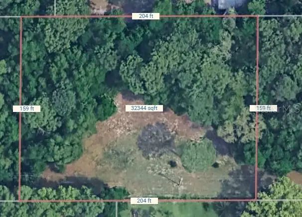 N Thompson Road, Apopka, FL 32712 - Image #2