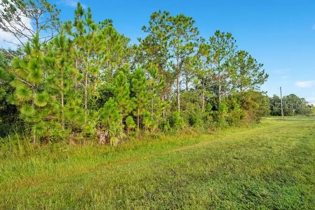 4324 Bancroft Boulevard, Orlando, FL 32833 - Image #2