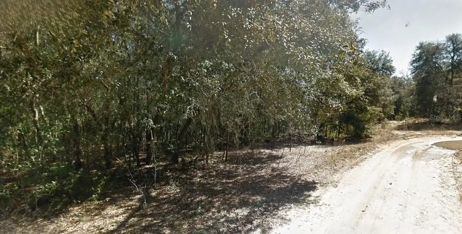 202 Cedar Trail, Interlachen, FL 32148 - Image #2