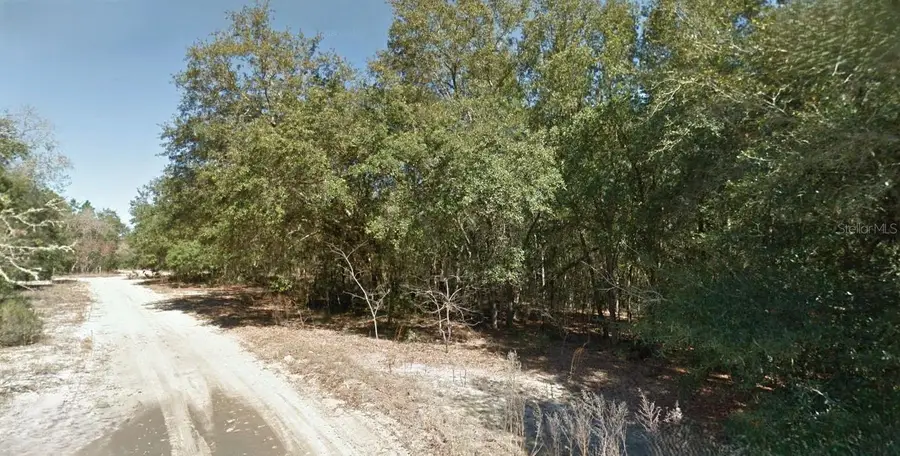 202 Cedar Trail, Interlachen, FL 32148 - Image #3