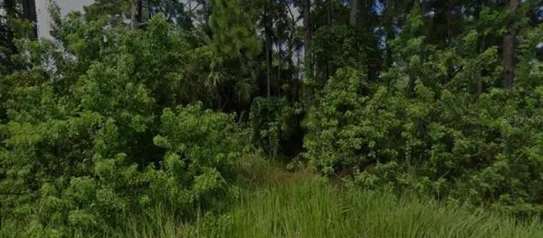 447 Trumpet Street Sw, PALM BAY, FL 32908