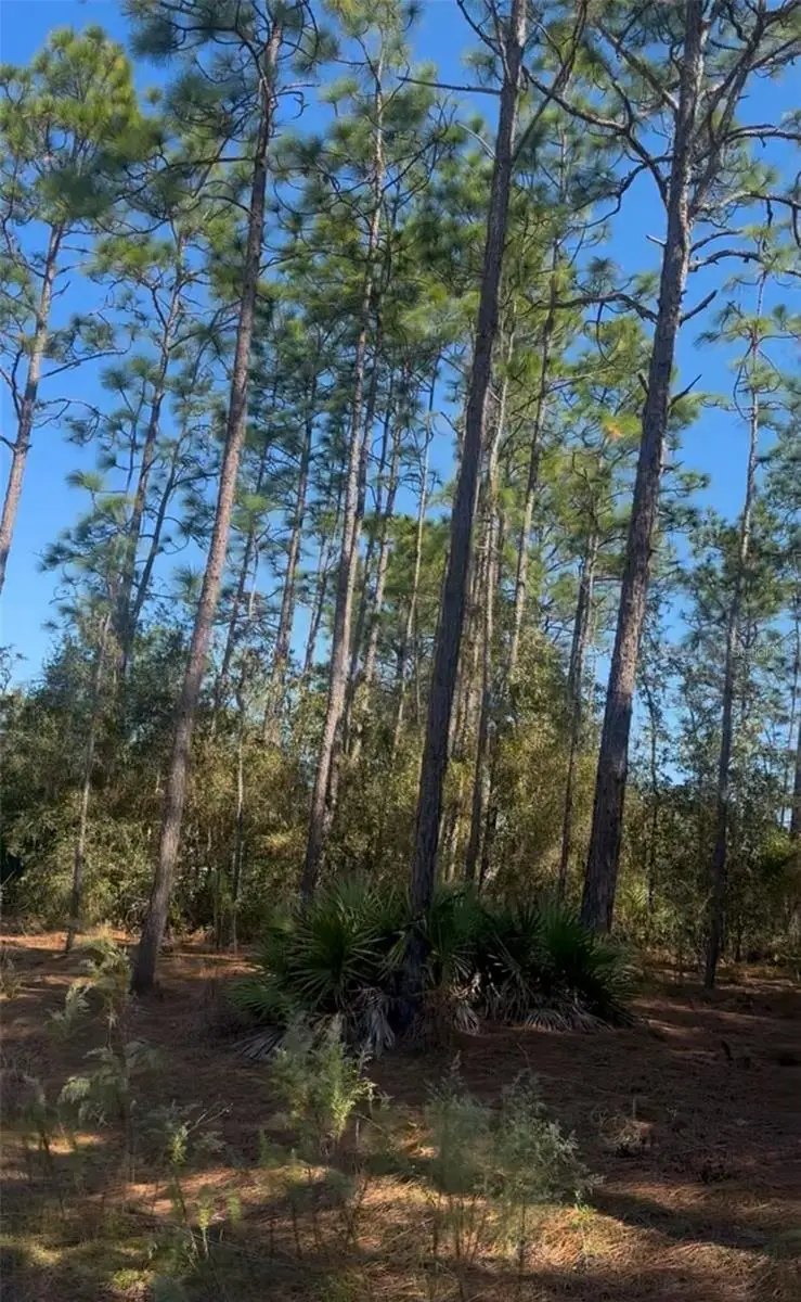 SW 128th Terrace Road, Ocala, FL 34481 - Image #1