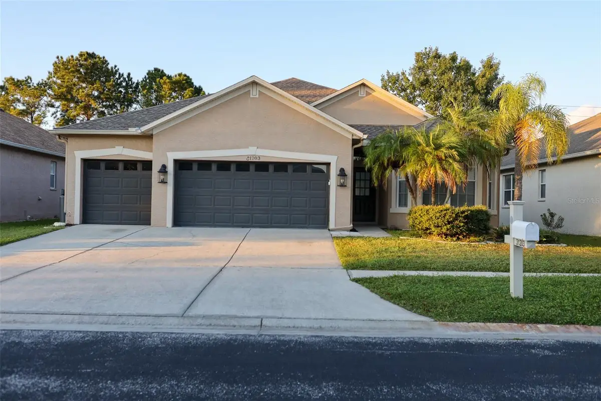 31203 Anniston Drive, Wesley Chapel, FL 33543 - Image #1