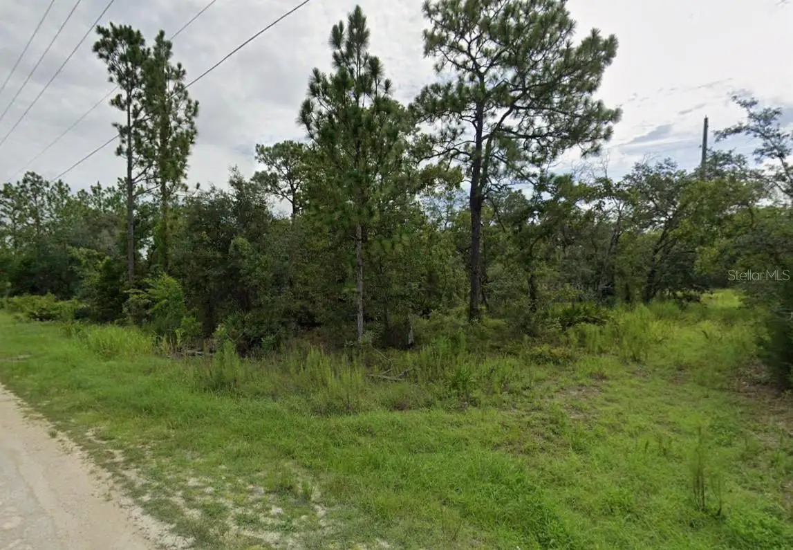 Goldfinch Road, Weeki Wachee, FL 34614 - Image #1