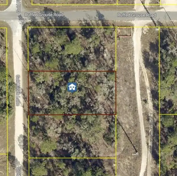 Goldfinch Road, Weeki Wachee, FL 34614 - Image #2