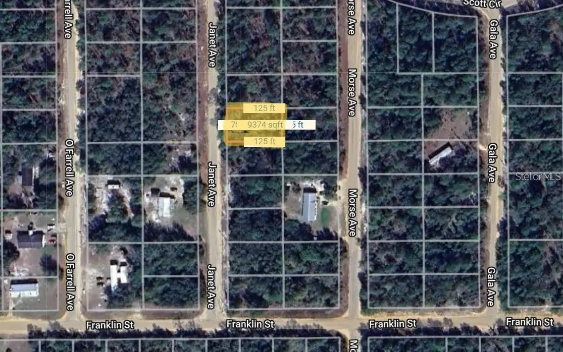 0 Janet Avenue, Interlachen, FL 32148 - Image #1