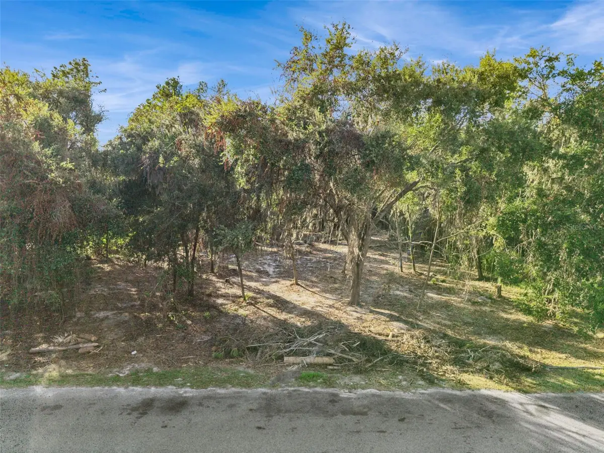 705 Newell Hill Road, Leesburg, FL 34748 - Image #1