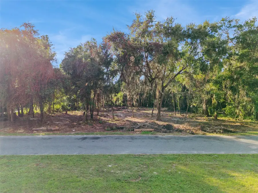 705 Newell Hill Road, Leesburg, FL 34748 - Image #2