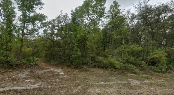 Highline Trail, SATSUMA, FL 32189